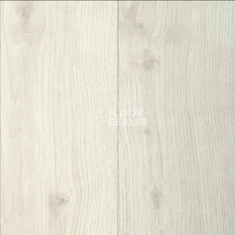 Ламинат Clix Floor Plus Extra CPE3479 Дуб Жемчужина фото 1 | FLOORDEALER